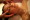 Beschreibung: http://cms06.website-start.de/webseitendaten/399/692/939/images/cache/2427441441.jpg?t=1348601290